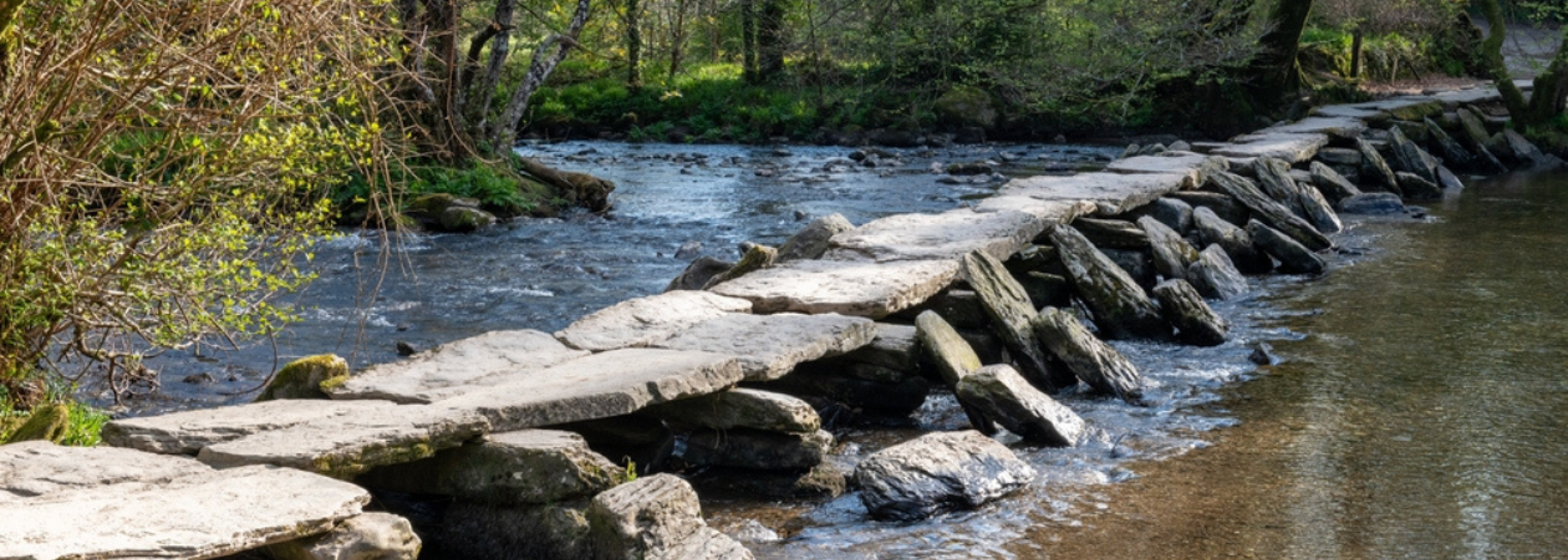 Rivers in national parks are polluted with pharmaceuticals