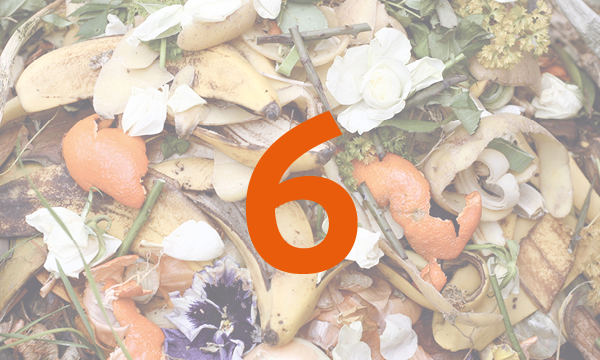 Food waste with a number 6 overlaid on top