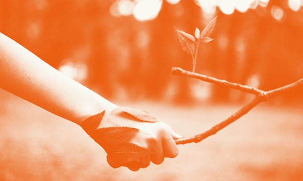 A person holding a branch