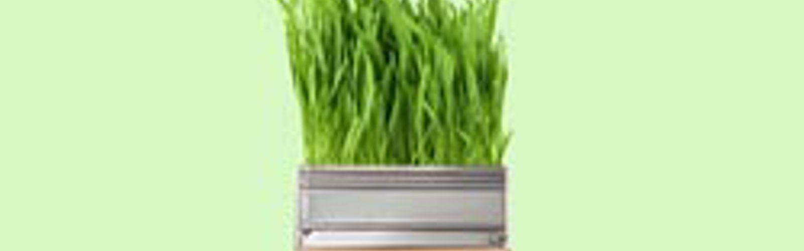 Sustainable events at 15Hatfields 