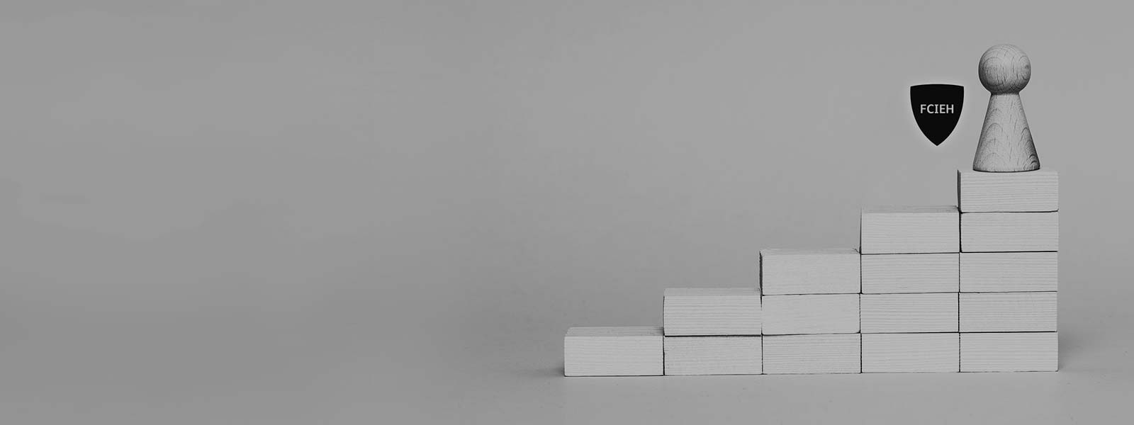 FCIEH badge with a wooden pawn on the fifth step of a tower of blocks