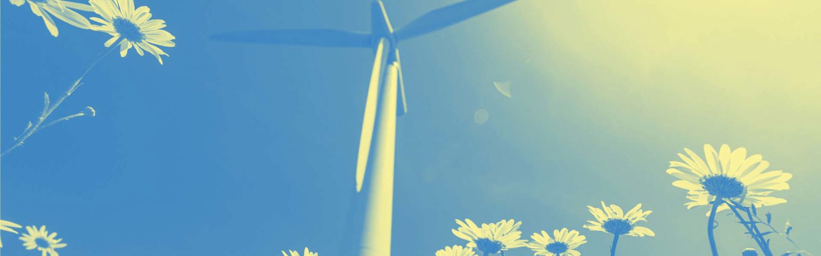 Wind turbine and field of daisies