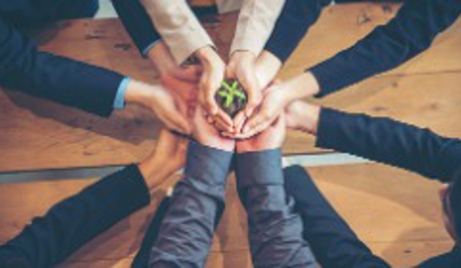 Hands coming together holding a green plant