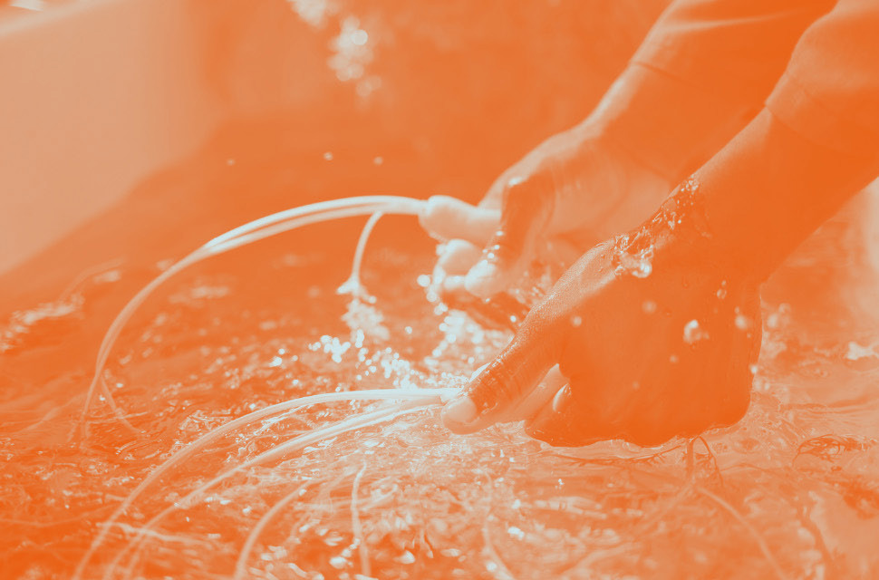 Hands washing vegetables