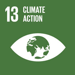 Sustainable Development Goal 13: Climate action