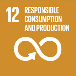 Sustainable Development Goal 12: Responsible consumption and production