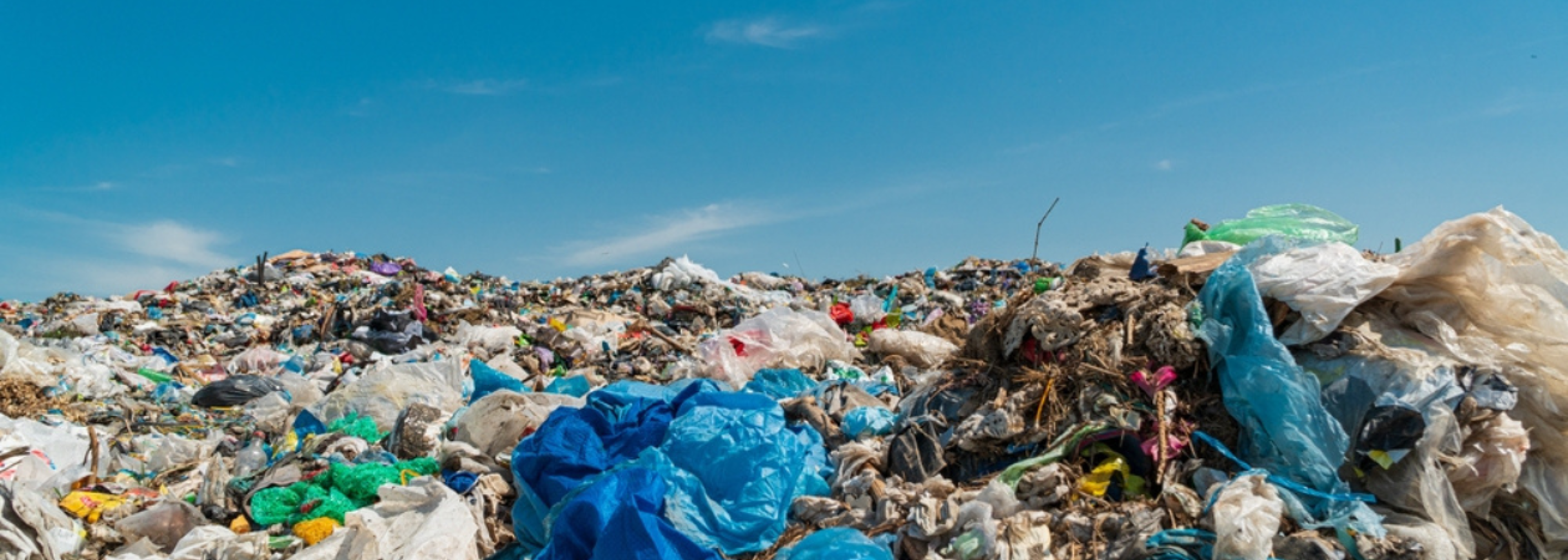 Research reveals extent of plastic pollution in environment