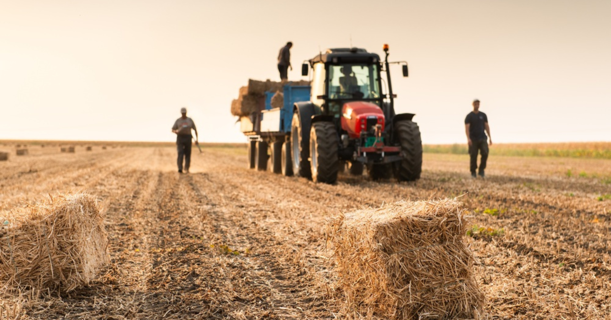 Farmers with a tractor on a field