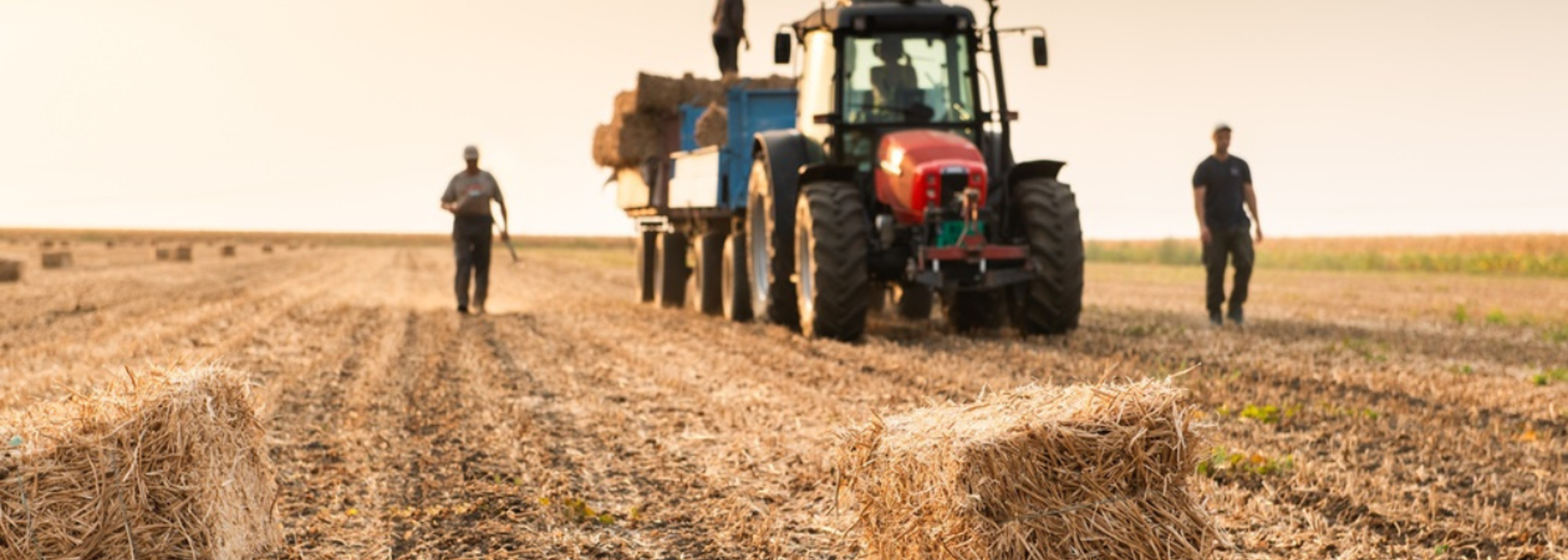 Agricultural sector has highest rate of fatalities