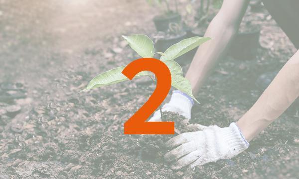 Photo of a person planting a plant, with the number 2 overlaid on top