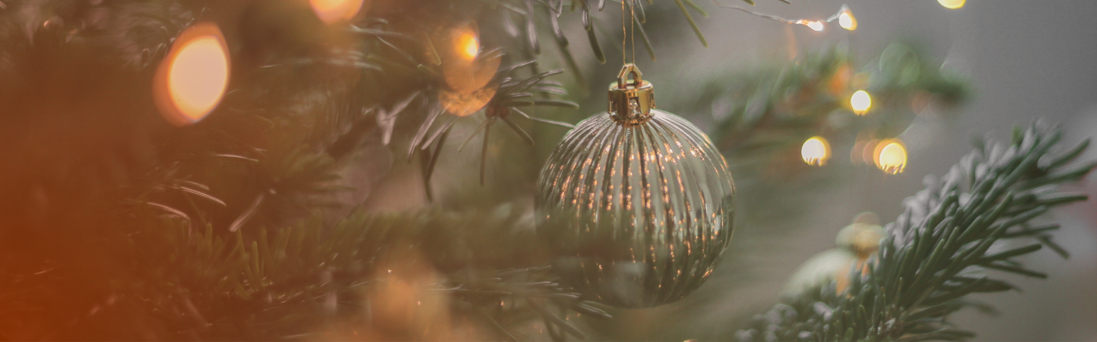 Christmas bauble on a tree