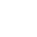 X icon