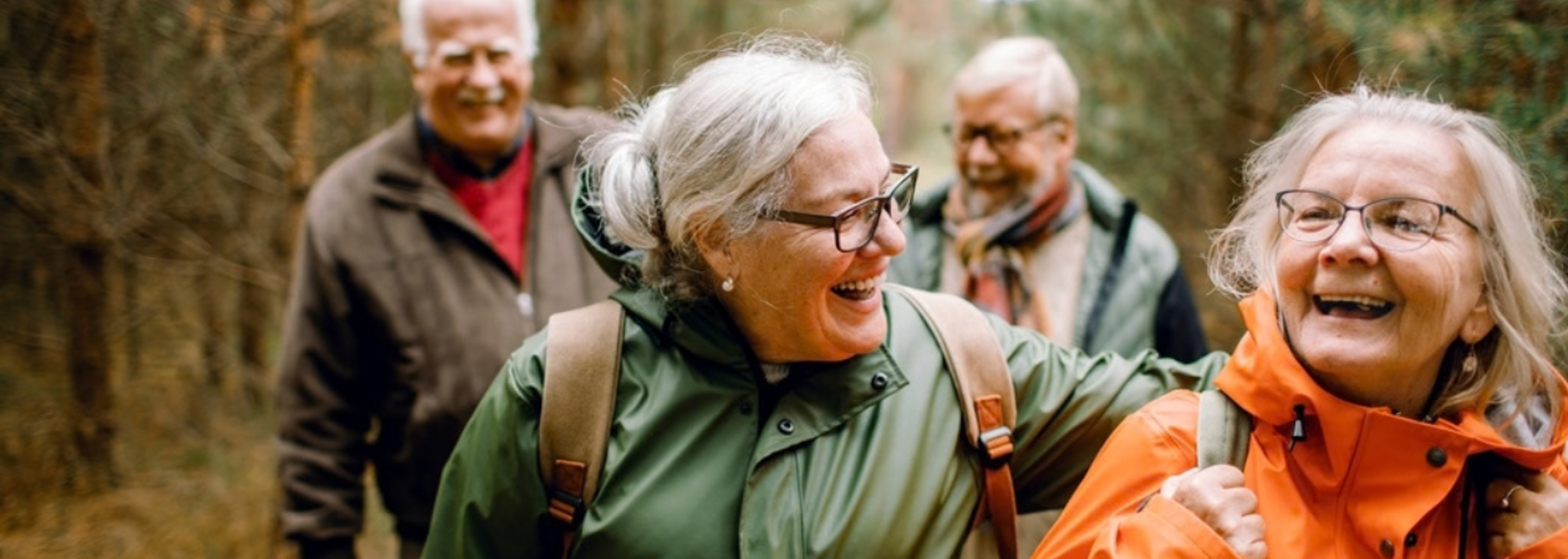Access to nature is a public health issue, report warns