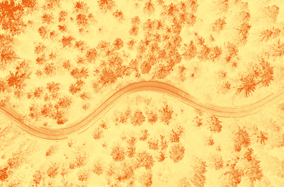 An aerial view of a forest with a winding road running through it 