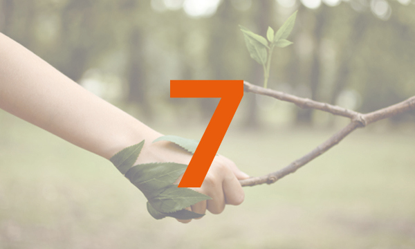 Hand grabbing a tree branch with a number 7 overlaid top